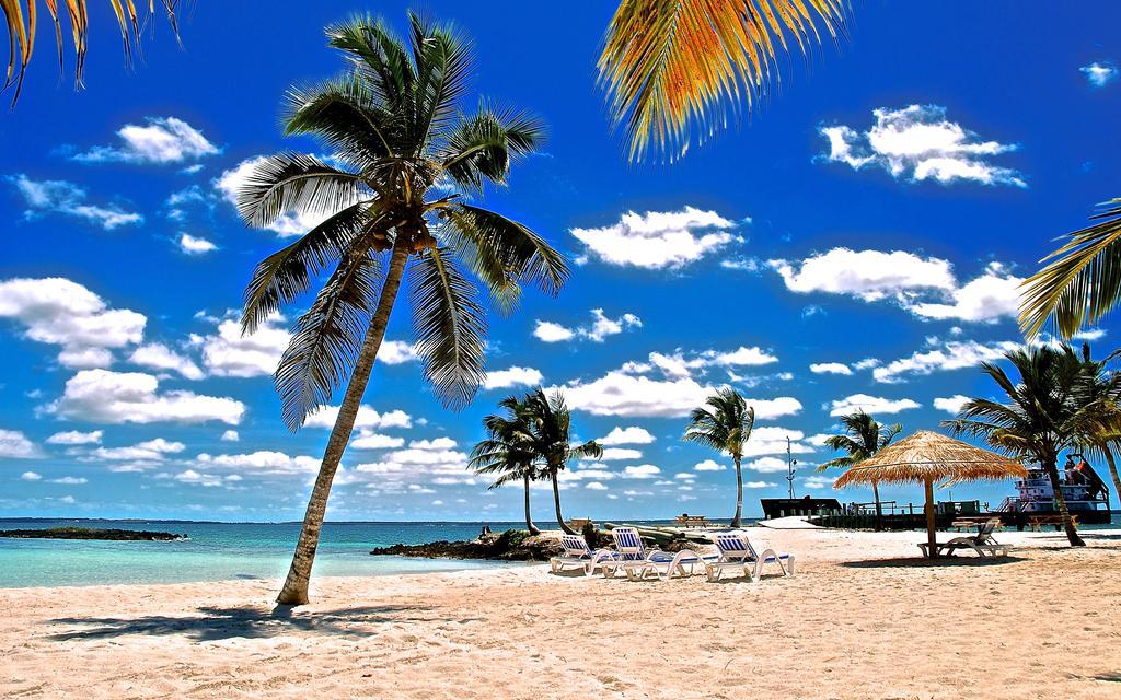 Bluff House Beach Resort & Marina Green Turtle Cay Exterior photo