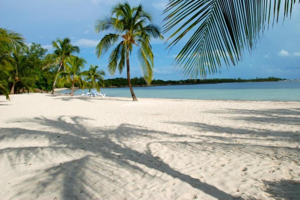 Bluff House Beach Resort & Marina Green Turtle Cay Exterior photo