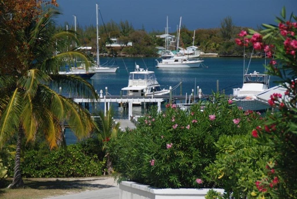 Bluff House Beach Resort & Marina Green Turtle Cay Exterior photo
