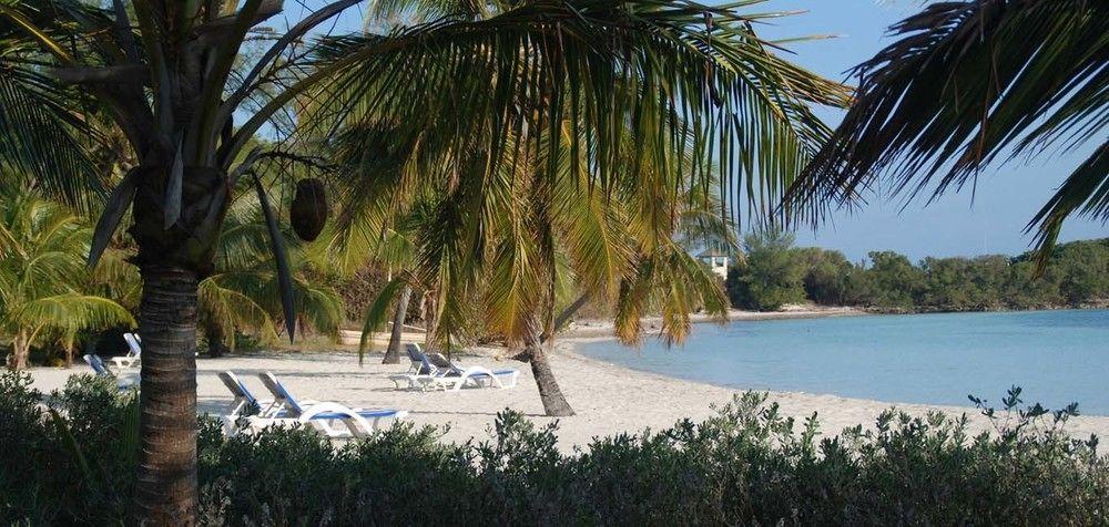 Bluff House Beach Resort & Marina Green Turtle Cay Exterior photo