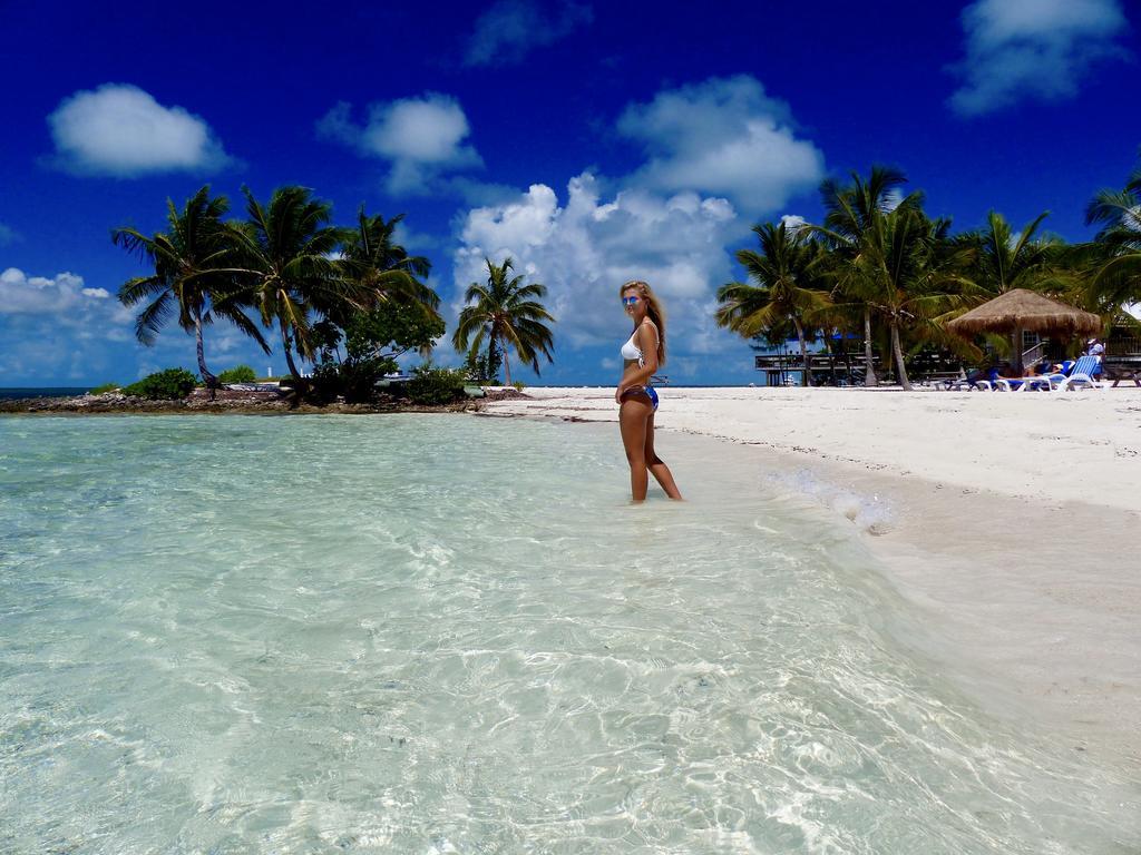Bluff House Beach Resort & Marina Green Turtle Cay Exterior photo